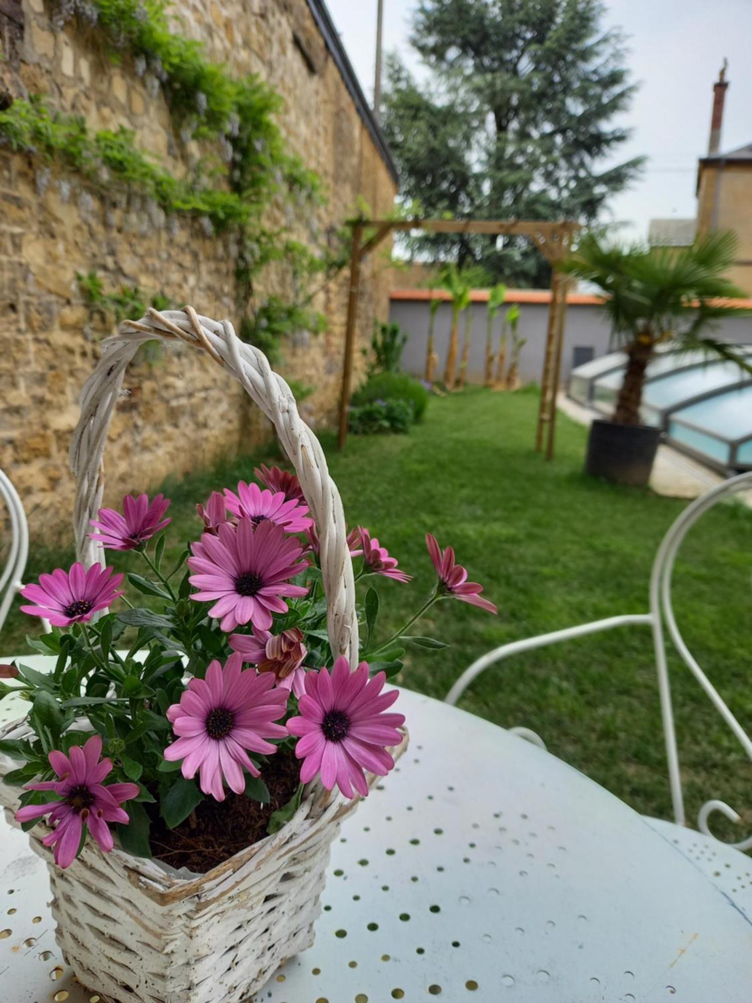 Appartement, 2Eme Etage Avec Piscine Partagee Sedan Buitenkant foto